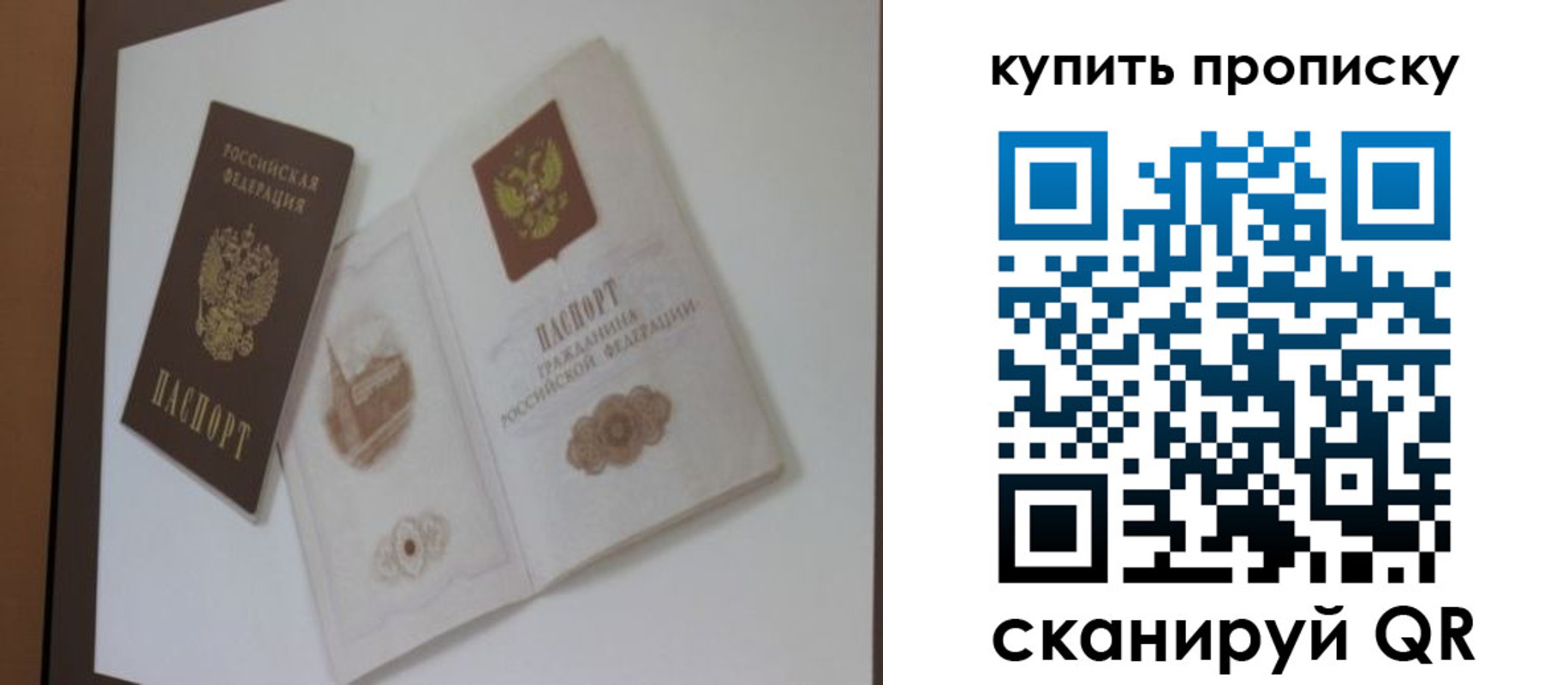 где прописаться в Павловском Посаде